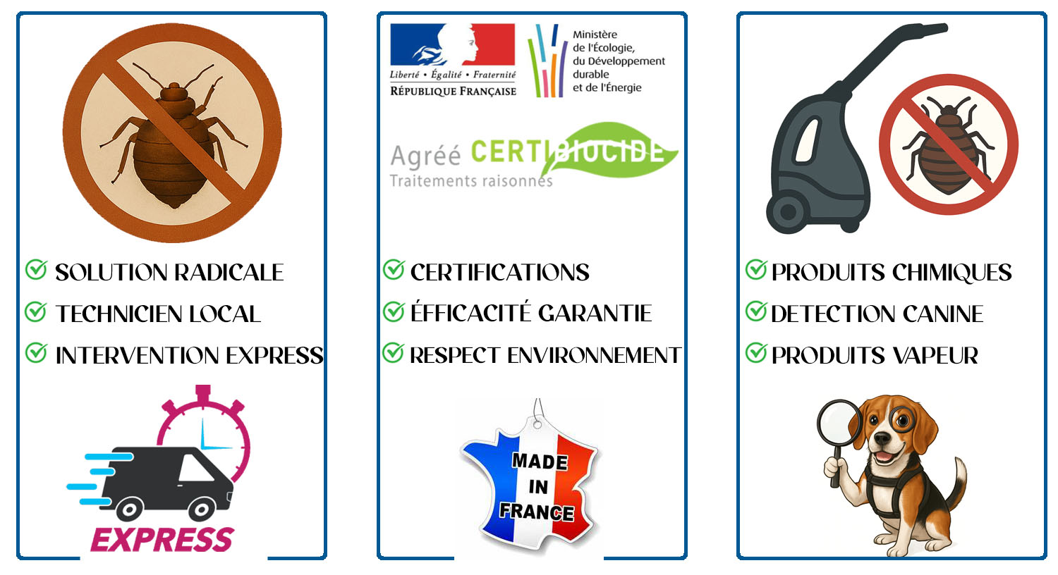 Punaises de Lit Bry sur Marne